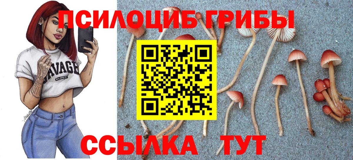 Владимир  Псилоцибиновые грибы ЛСД  где найти наркотики  Вход с VPN 