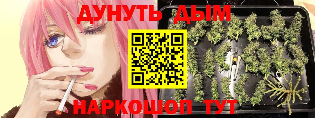 Владимир  Канабис марихуана  Шишки марихуана индика  Марихуана AK-47  Вход с VPN 